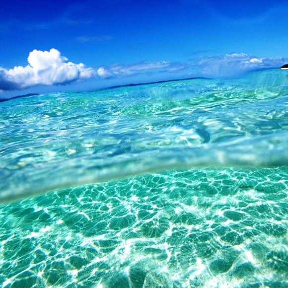 UNLISTED FLYER - Picture 1 of 1